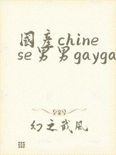 国产chinese男男gaygay 网站