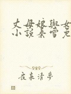 丈母娘与女婿的小说秦雪免费阅读封面