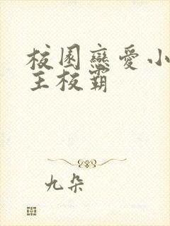 校园恋爱小说男主校霸