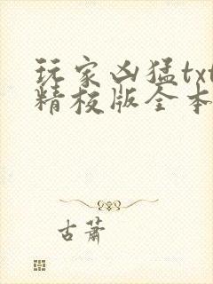 玩家凶猛txt精校版全本下载