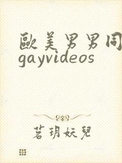 欧美男男同性恋gayvideos