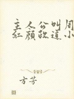 主人公叫周平的红颜政道小说