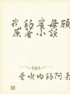 我的蜜母顾婉如原著小说