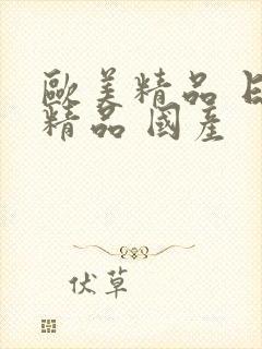 欧美精品 日韩精品 国产