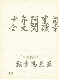 少年阿宾目录及全文阅读章节