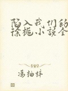 陷入我们的热恋徐栀小说全集封面