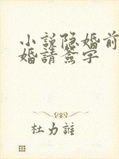 小说隐婚前夫离婚请签字封面