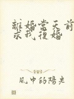 离婚当天前夫跪求我复婚