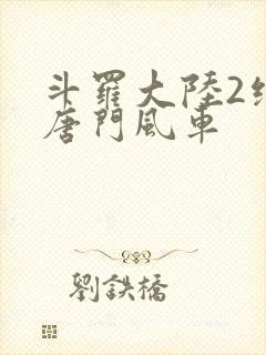 斗罗大陆2绝世唐门风车封面