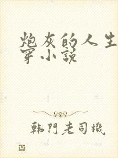 炮灰的人生2快穿小说