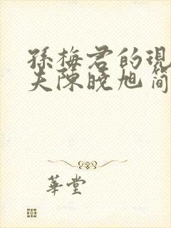 孙梅君的现任丈夫陈晓旭简介