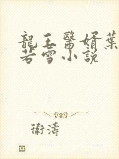 龙王医婿叶凡唐若雪小说