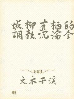 坂柳有栖的堕落调教沉沦全文免费