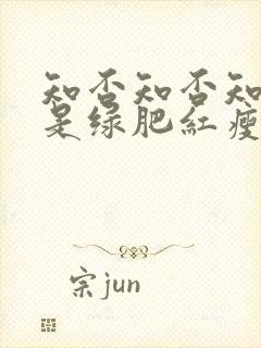 知否知否知否应是绿肥红瘦哪个季节封面