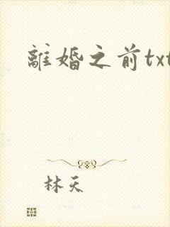 离婚之前txt