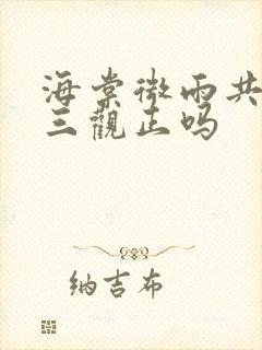 海棠微雨共归途三观正吗