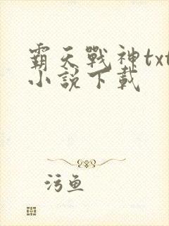 霸天战神txt小说下载