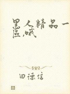 黑人精品一区二区,哦