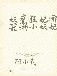 妖孽狂妃:邪君宠溺小妖妃