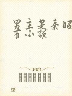 男主是秦昭的所有小说