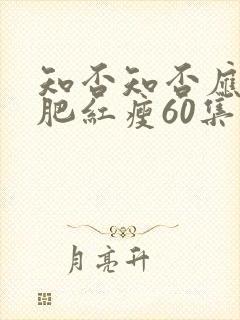 知否知否应是绿肥红瘦60集