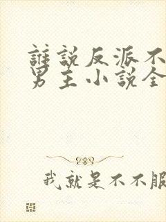 谁说反派不能当男主小说全文