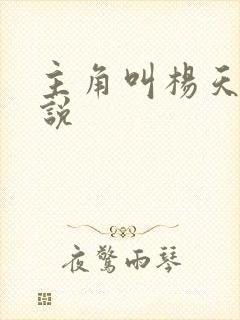 主角叫杨天的小说