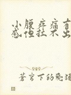 小腹疼痛有大便感但拉不出来