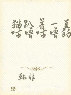 猫趴着一直发出咕噜咕噜的声音