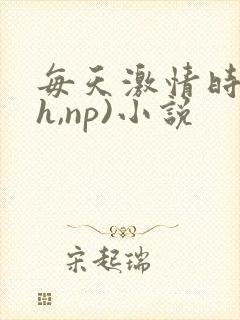 每天激情时(高h,np)小说