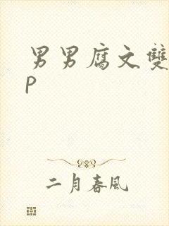 男男腐文双性3p