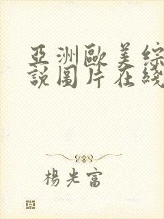 亚洲欧美综合小说图片在线