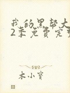 我的黑帮大佬第2季免费完整版