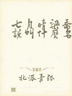 七月晴梁乔婷小说叫什么名字啊