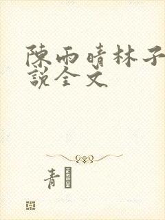 陈雨晴林子峰小说全文封面