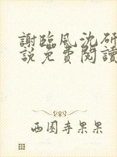 谢临风沈研卿小说免费阅读最新章节