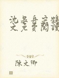 沈晏舟宋鹤眠全文免费阅读封面