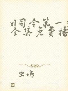 xl司令第一季全集免费播放在线观看