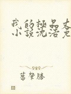 我的极品丈母娘小说沈浩免费阅读