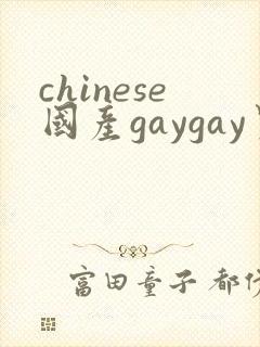 chinese国产gaygay男男网站封面