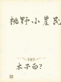 桃野小农民小说封面