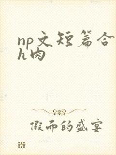 np文短篇合集h肉