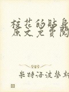 校花的贴身高手原文免费阅读封面