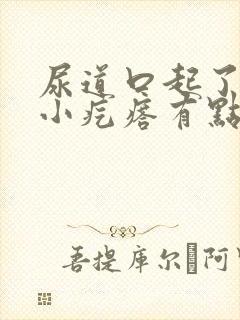 尿道口起了一个小疙瘩有点疼