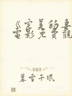 《完美的妻子》电影免费观看