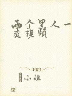 两个黑人一起操爽视频