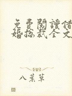 免费阅读错嫁替婚总裁全文