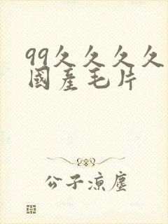 99久久久久久国产毛片