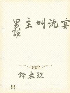 男主叫沈宴的小说