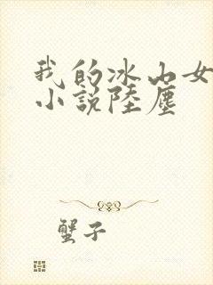 我的冰山女总裁小说陆尘